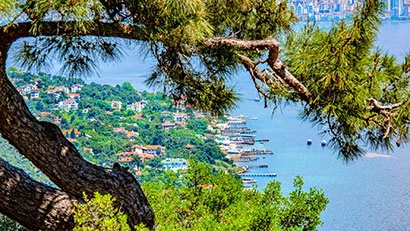 Day Trip to the Princes' Islands: Büyükada, Kınalı Ada, Burgaz Ada, Heybeliada, Istanbul Islands Discovery Tour