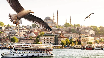 Licensed Tour Guides in Istanbul